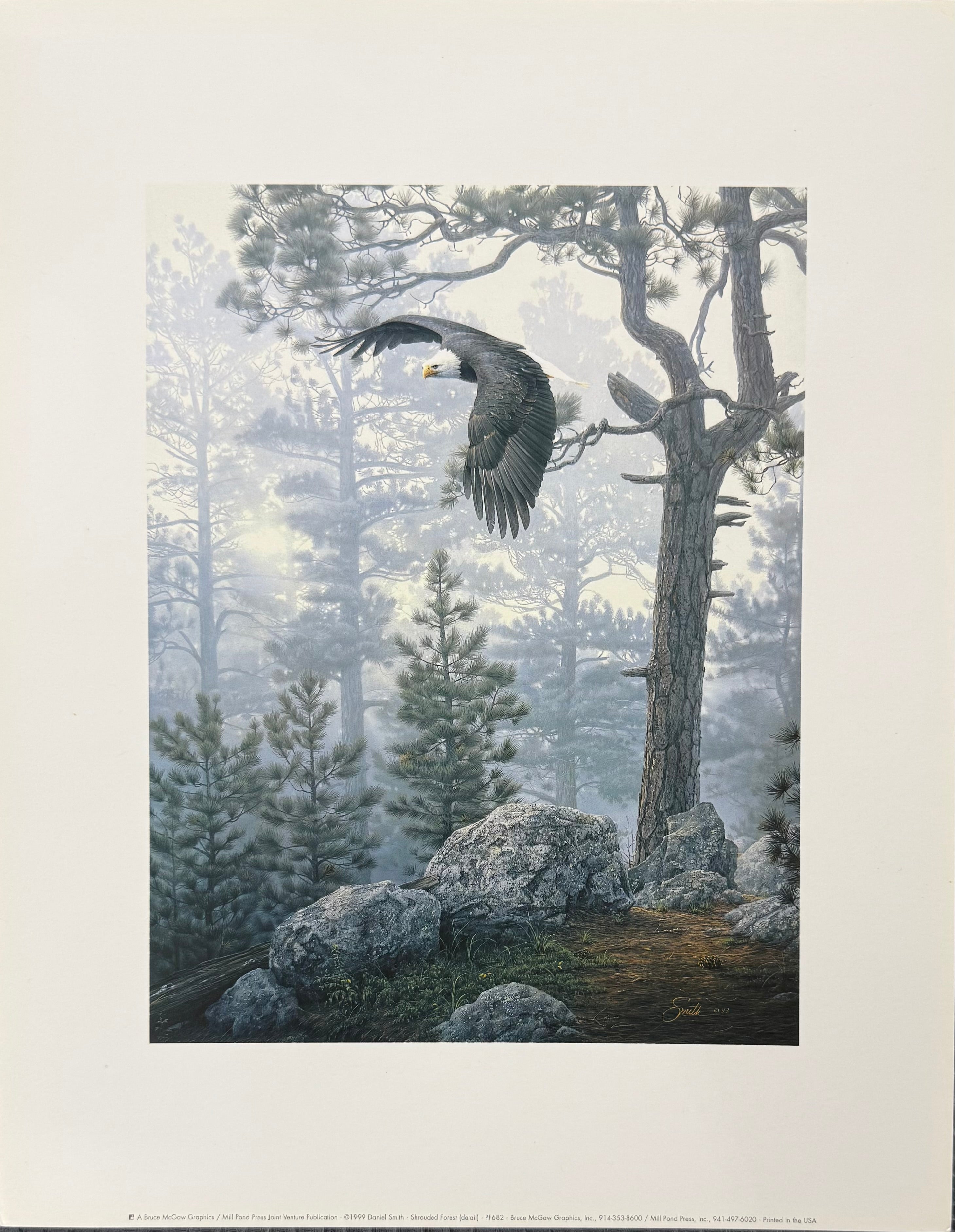 Eagle flying over a forest with trees and rocks in the background