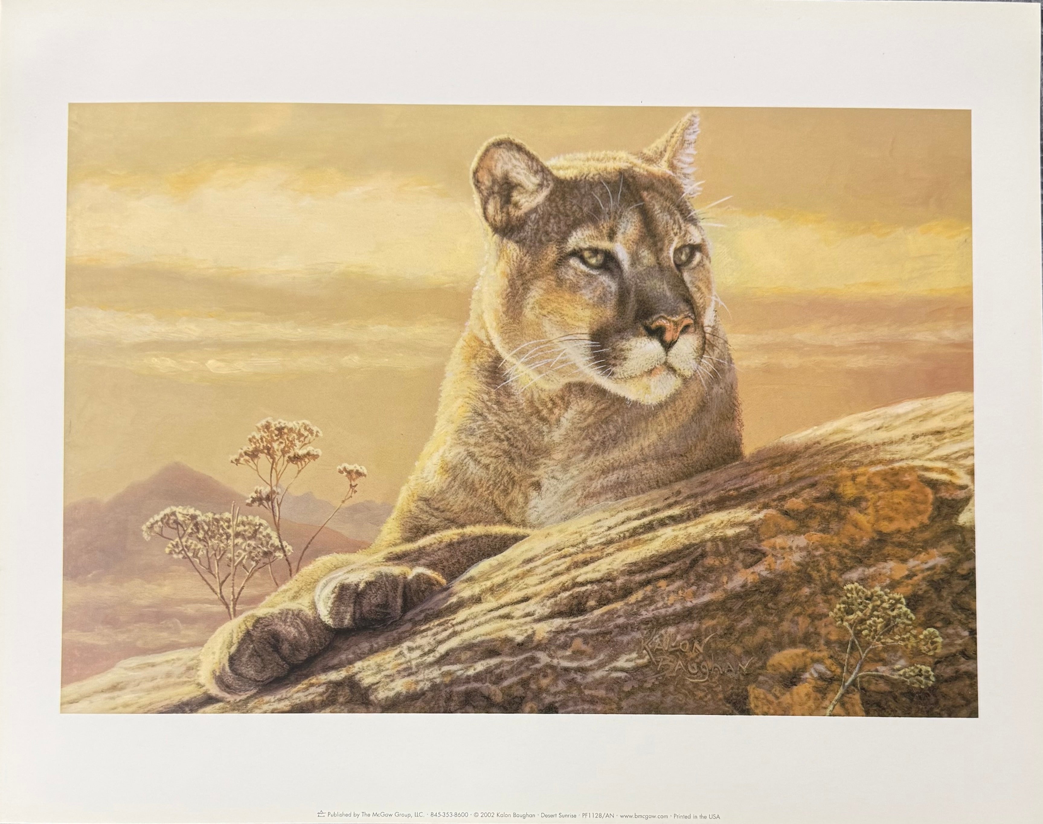Painting of a mountain lion sitting on a rock with a natural landscape in the background