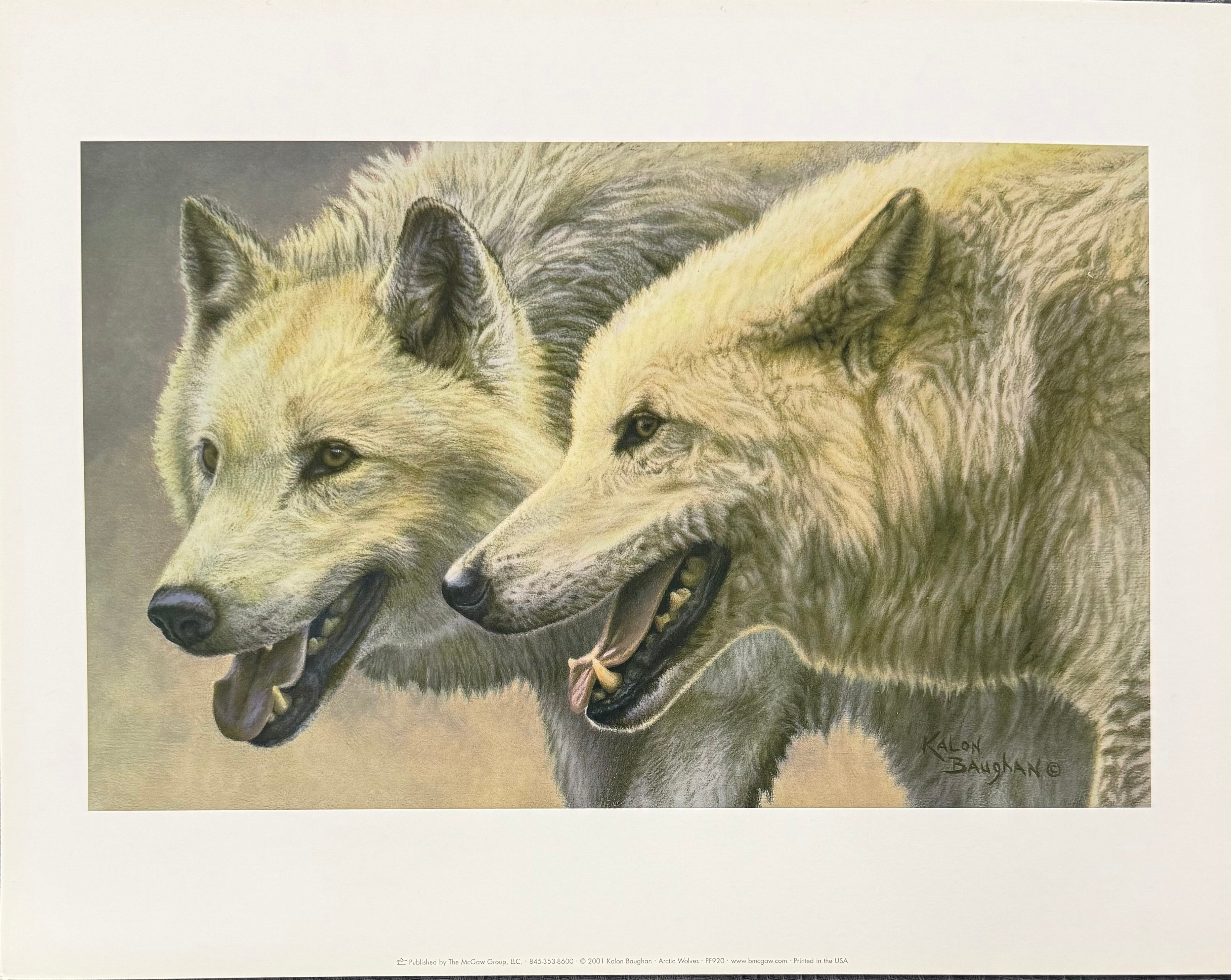 Arctic Wolves by Kalon Boughan depicts a pair of majestic wolves against a snowy backdrop. Their striking features and expressive eyes convey a sense of strength and grace in the harsh landscape.